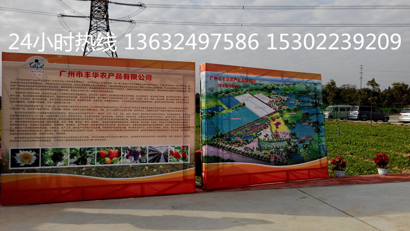白云区丰华园开园开业庆典